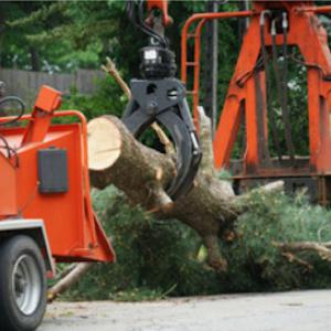 Owasso Tree Services