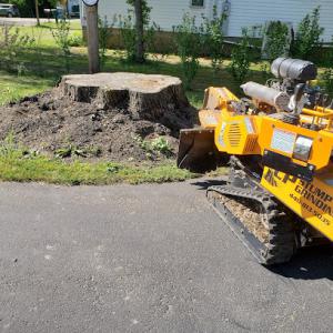CP Stump Grinding