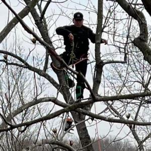 Cardoza Tree Experts