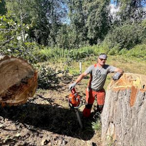 Fishhook Tree Services