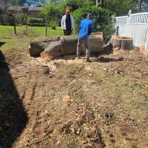 Blue Tag Tree Service