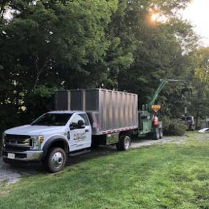 Kelley Brothers Tree Service