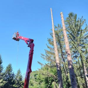 Northern Oak Tree Service