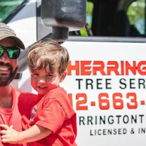Herrington Tree Services