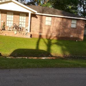 Robinson's Lawn Care & Junk/Trash Removal, Ect.