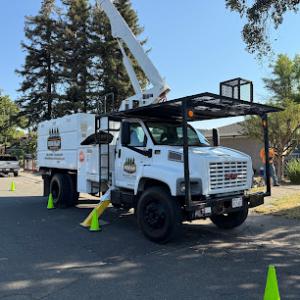 Sierra Valley Tree Service