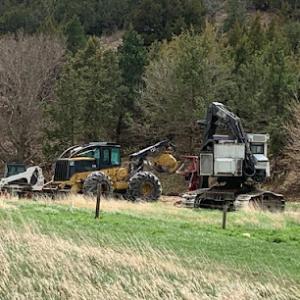 Landscaping & Tree Services Ponderosa