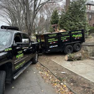 Galvan’s tree services