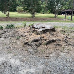 H&S Stump Grinding & Tree Removal