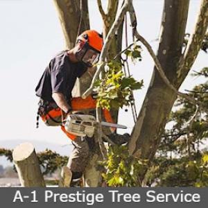 A-1 Prestige Tree Service