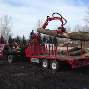 Brongo's Tree Service