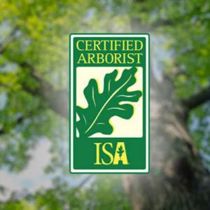 Googe Tree Service & Design