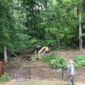 Radford Tree Services