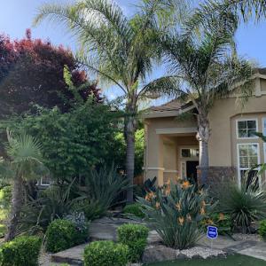 Santiago Tree Service