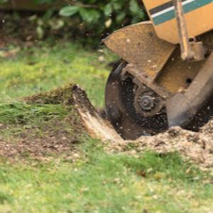 Four Seasons Stump Grinding