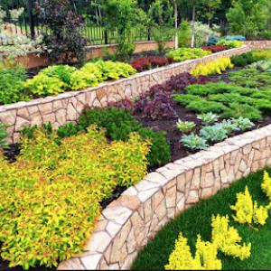San Marcos Landscaping, Tree & Lawn