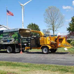 Bailey's Tree & Landscape