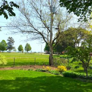 Aaron's Tree Service