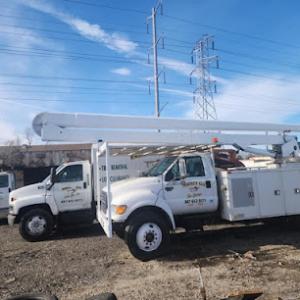 Perfect Cut Tree Service