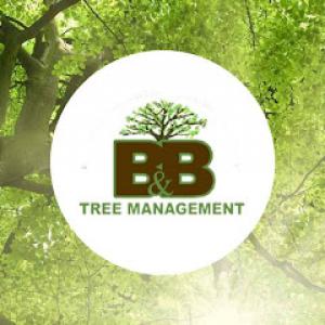 B&B Tree Management