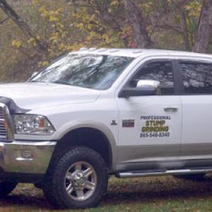 Professional Stump Grinding