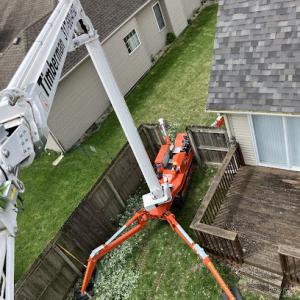 Timberman Tree Care