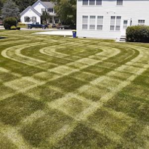 Prestige Lawn Care One