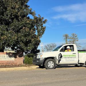 Hernandez Tree Service