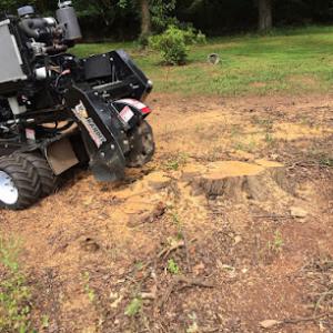 Full Circle Stump Grinding & Tree