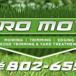 ProMow Lawn Service