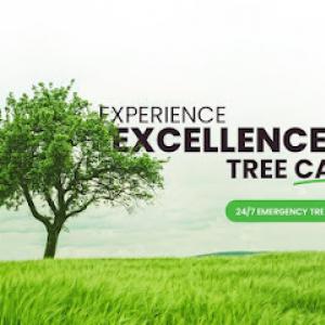 Tree Masters of Tennessee