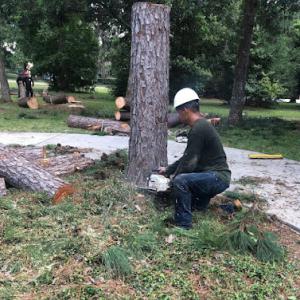 Texas Tree Elite