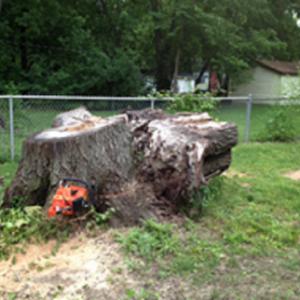 Adam's Stump Grinding, Tree Stump Removal