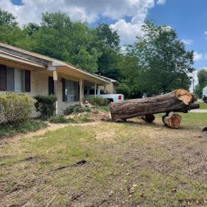 Gilliland's Tree Service