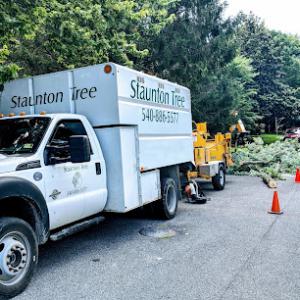 Staunton Tree Service