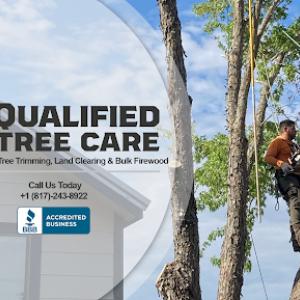 Qualified Tree Care