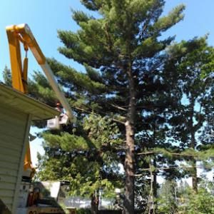 Above & Beyond Companies