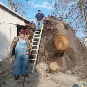 On Time Stumps & Outdoors - Nashville