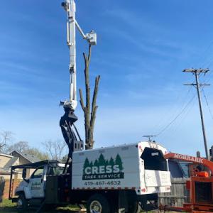Cress Tree Service