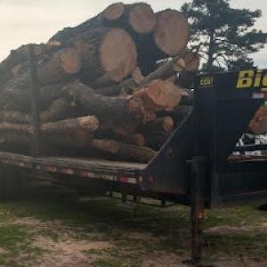 Robert's Tree Service