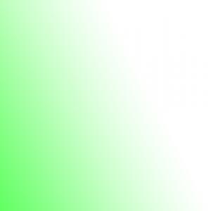 Antonio's Tree Service