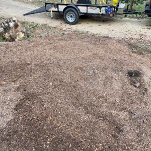 Hill's Stump Grinding & Root Removal Service