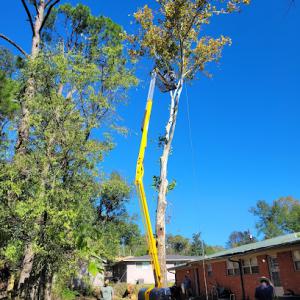 Wilkerson's Tree Service