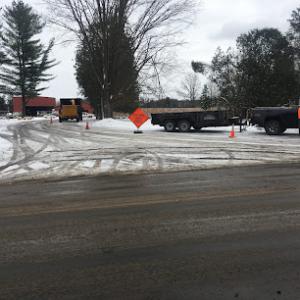 Losing Limbs Tree Service