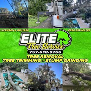 Elite Tree Service