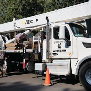 Blackhawk Tree Services
