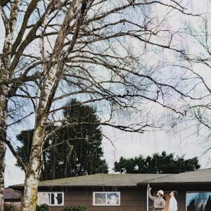 Mountain View Tree Service