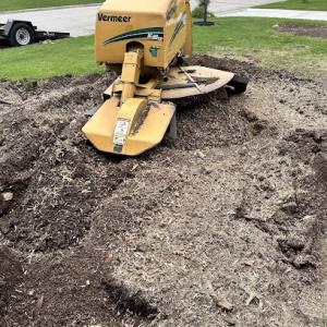 The Veteran Tree Stump Removal