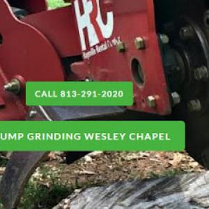 Stump Grinding Wesley Chapel