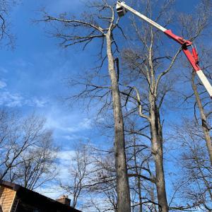 Hagan & Sons Tree Service